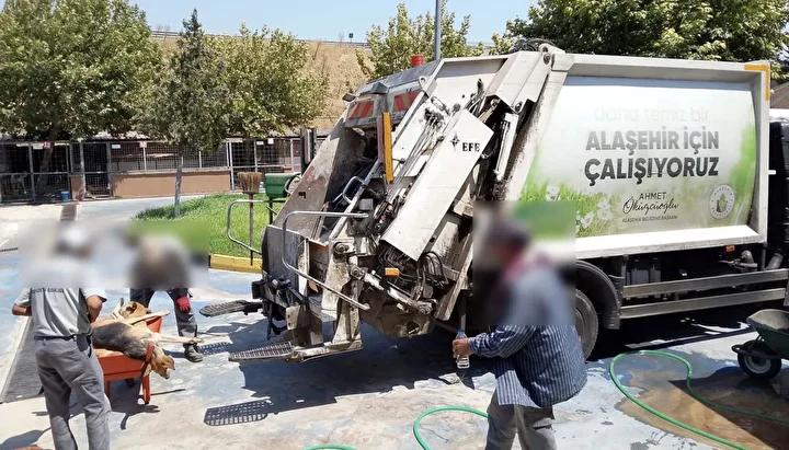 chpli alasehir belediyesi kopekleri oldurup cop otomobiline atti 4 YQIrm2aM