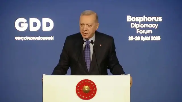 Cumhurbaşkanı Erdoğan: Gazze için tüm gövdemizi oraya koyduk cumhurbaskani erdogan gazze icin tum govdemizi oraya koyduk zHFnN8iE.webp