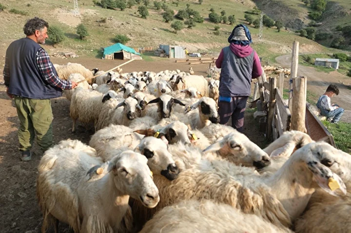 cuval cuval cikariyorlar nami tum turkiyeyi sardi 120 gun saklaniyor her yerden talep yagiyor X6rZ6Uvm