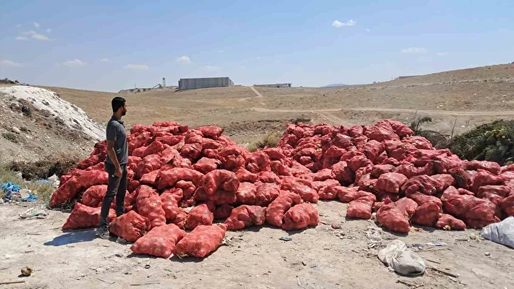 cuvallar dolusu tonlarca kuru sogan bos bir yere atildi tarim ve orman mudurlugu inceleme 65P2gm2c