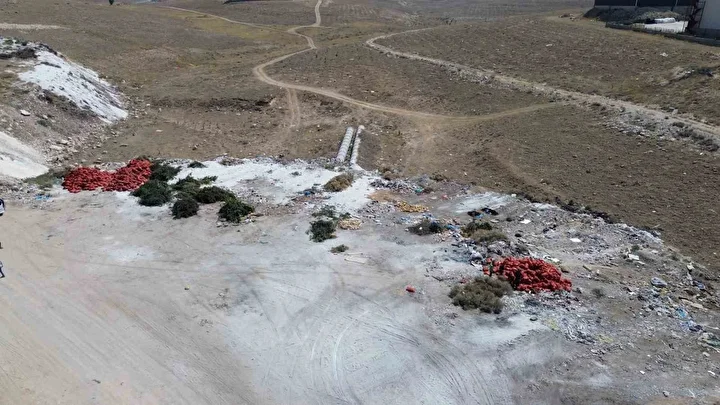 cuvallar dolusu tonlarca kuru sogan bos bir yere atildi tarim ve orman mudurlugu inceleme kQ4SuZj7