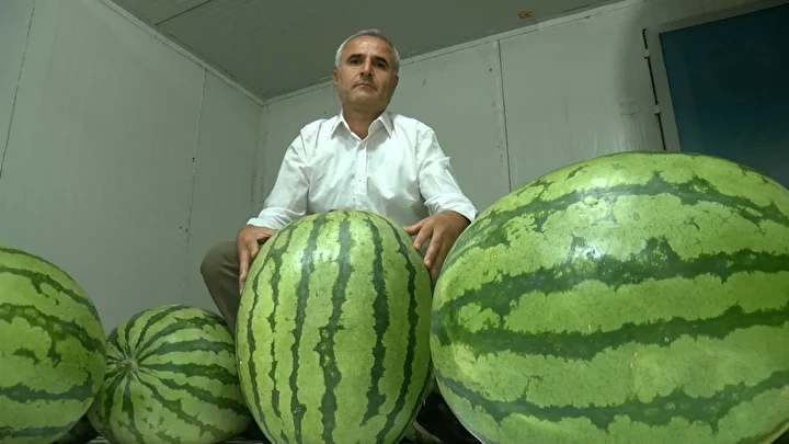 diyarbakirda 76 dev karpuz musabaka oncesi soguk hava deposunda korunuyor 2