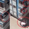 Rekor kırıyor: Yeraltı tabiat mükemmeline turistler akın etti diyarbakirda dehset dolu anlar balkondan dusme tehlikesi geciren down sendromlu cocugu komsusu kurtardi 7W1Hxwqw.webp