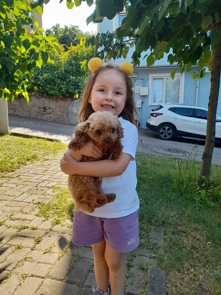 dort kisinin gozu onunde boguldu minik berrayi mevte goturen kres havuzunda ihmaller zinciri 2 4E3qkFal