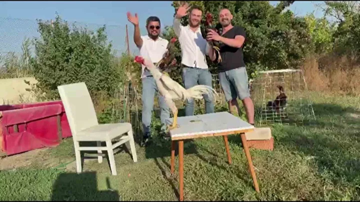 dugunde damada gorulmemis ikram gorenler saskina cevirdi kiymeti 250 bin tl 3 BgEKYDuR