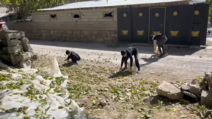 dunyaca unlu kilosu 600 liraya kadar cikiyor hasadina baslandi 2 UrjG2FKm
