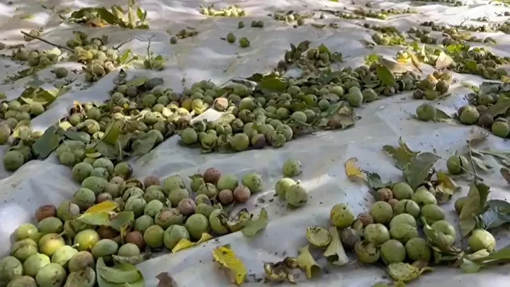 dunyaca unlu kilosu 600 liraya kadar cikiyor hasadina baslandi 3 E9hv1uQN