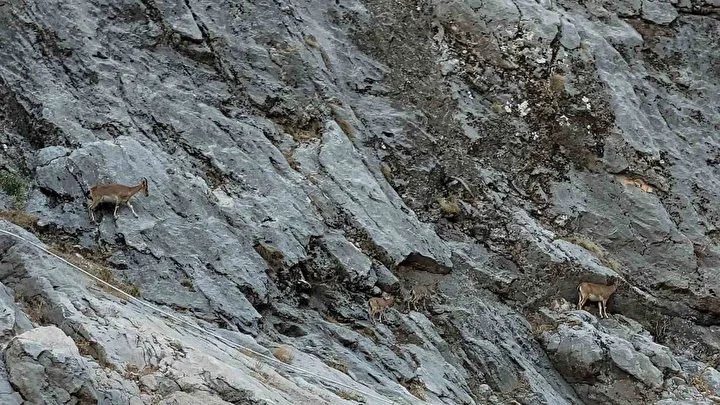 Dünyanın en büyük ikinci kanyonu: İlçe nüfusu 10 katına çıkıyor 8 dunyanin en buyuk ikinci kanyonu ilce nufusu 10 katina cikiyor 7 215HKdSu