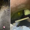 dusunde gordu 12 metrelik tunel kazdi define arayan anne ile oglu yakalandi XaQ2QViR.webp