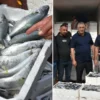egede donemi olmayan baliklar bile tutuldu rekoltede rekor bekleniyor 78HBBJ1L.webp