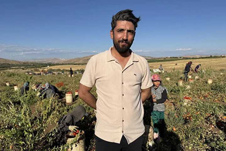 elazigdan ihrac edilen kurutulmus domates dunya sofralarina lezzet katiyor uretim her gecen yil artis vyAAkfCR