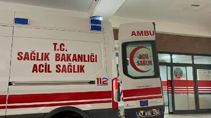 Eşinin bıçakladığı Ceylan ağır yaralandı 3 esinin bicakladigi ceylan agir yaralandi 2 mmIAq4R9