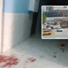 esinin bicakladigi ceylan agir yaralandi p9RcIkkr.webp