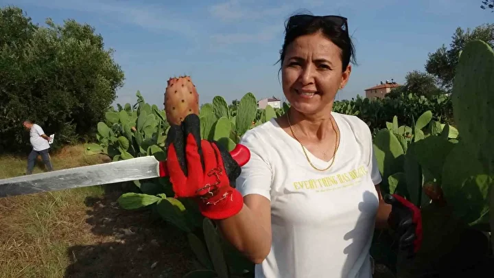 etrafindaki herkes alay etti turkiyede bir birinci yurt disinda cok degerli 2 djy6mycM