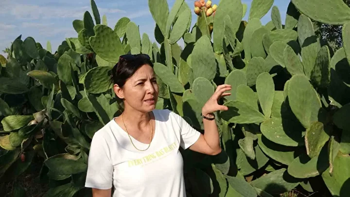 etrafindaki herkes alay etti turkiyede bir birinci yurt disinda cok degerli 5 8IrJ4cUi