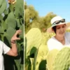 etrafindaki herkes alay etti turkiyede bir birinci yurt disinda cok degerli zjiFrp9i.webp