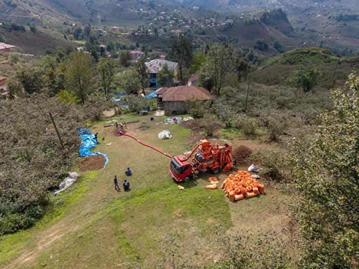giresunda sokak ve caddelere findiklar serilmeye basladi 10 iGqugsCi
