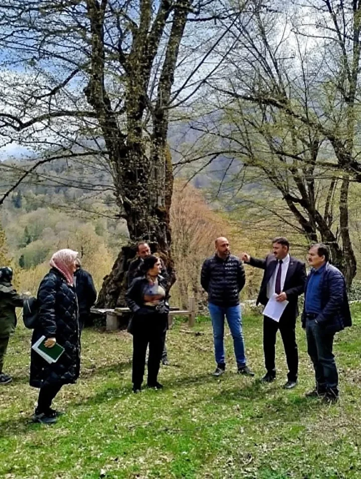 gumeli yaylasinda etraf duzenleme calismalari tamamlandi 5 pT8sLVEP