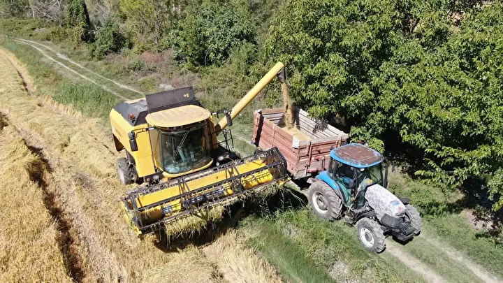 Hasadı başladı, yurdun dört bir yanına gönderiliyor: Kilogramı 220 TL'den satılıyor 3 hasadi basladi yurdun dort bir yanina gonderiliyor kilogrami 220 tlden satiliyor 2 zdVNi2kh