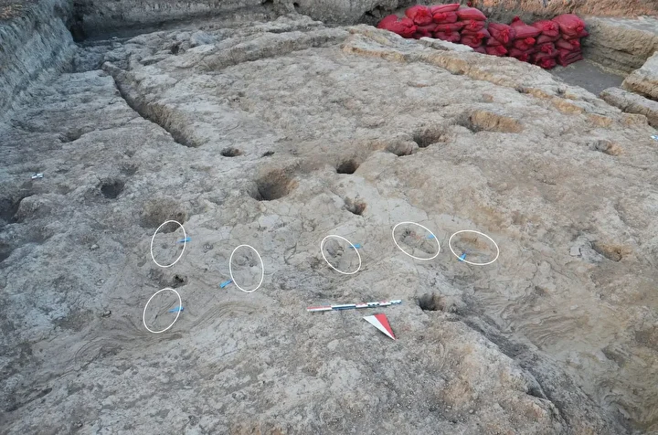 Hatay’da 7 bin yıllık sır gün yüzüne çıktı: Eşine az rastlanan keşif tarihe ışık tutacak 4 hatayda 7 bin yillik sir gun yuzune cikti esine az rastlanan kesif tarihe isik