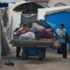 Amasya’da çıkan yangında bin balya saman ve bir araç kullanılamaz hale geldi israil hucumlarindan kacarak deyr belaha siginan filistinli aileler guc kurallar altinda omurlerini surduruyor Jz1p19Qr.webp