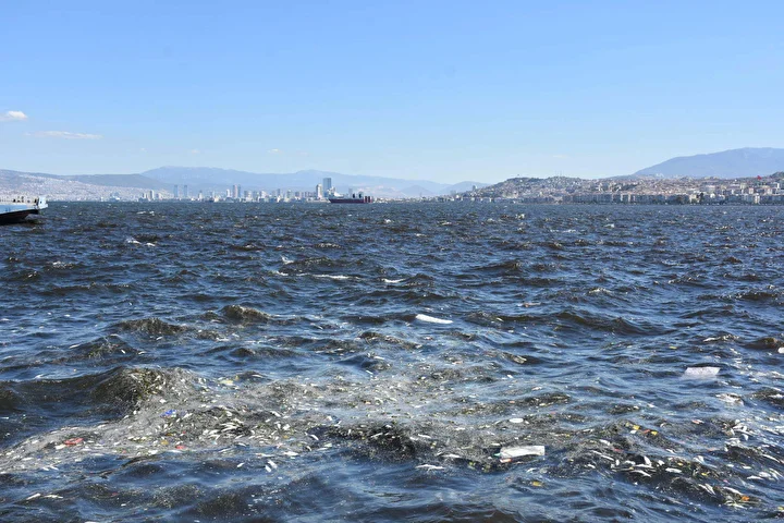 izmir korfezinde endiselendiren imaj balik vefatlari tekrar basladi 5 DlbFywBS
