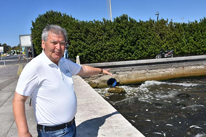 izmir korfezinde endiselendiren imaj balik vefatlari tekrar basladi 7 B4V6tBCb