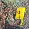 iznik golu kiyisinda bulunan el bombasi imha edildi aC4RWT9m.webp