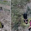 japonlar almak icin sirada bekliyor iyotlu ruzgarla tadi aromasi daha da artiyor S8Jcdgck.webp