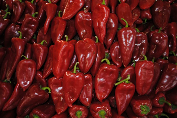 Kapış kapış gidiyor: Tam bir C vitamini bombası kilosu 18 TL'den satılıyor 12 kapis kapis gidiyor tam bir c vitamini bombasi kilosu 18 tlden satiliyor 11 g7TvPkiY