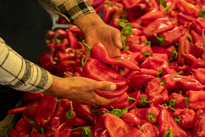 Kapış kapış gidiyor: Tam bir C vitamini bombası kilosu 18 TL'den satılıyor 9 kapis kapis gidiyor tam bir c vitamini bombasi kilosu 18 tlden satiliyor 8 hCWducqj