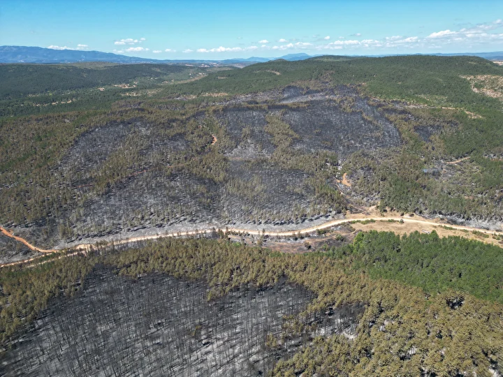 karabuk ve kastamonuda orman yanginlarina mudahale suruyor 0