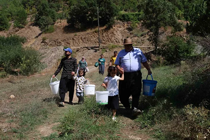 karadeniz degil adana toroslarin eteginde findik hasadi 2 9JWNrImF