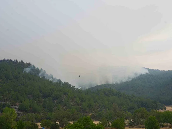 Kastamonu orman yangınları üçüncü gününde: Tahliye edilen köy sayısı 9’a yükseldi 5 kastamonu orman yanginlari ucuncu gununde tahliye edilen koy sayisi 9a yukseldi 4 dD26yWJ7