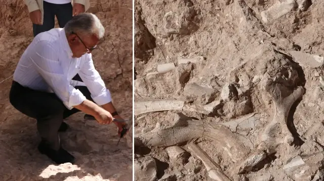Kayseri’de heyecanlandıran gelişme: Dünyaya yeni bir cins tanıtabiliriz kayseride heyecanlandiran gelisme dunyaya yeni bir cins tanitabiliriz lhWGCs6T.webp