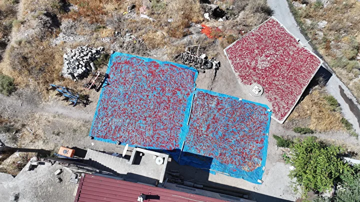 kayseride uretiliyor avrupada kapis kapis satiliyor sokak ortasinda 12 ton yapiliyor kilosu 750 lira 7Ne9FHXz