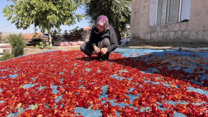kayseride uretiliyor avrupada kapis kapis satiliyor sokak ortasinda 12 ton yapiliyor kilosu 750 lira FlkJp4O4