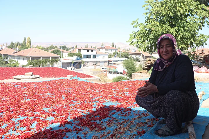 kayseride uretiliyor avrupada kapis kapis satiliyor sokak ortasinda 12 ton yapiliyor kilosu 750 lira OiWzVWQK