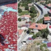 Köyceğiz yangınında 21 saat geride kaldı kayseride uretiliyor avrupada kapis kapis satiliyor sokak ortasinda 12 ton yapiliyor kilosu 750 lira QGeaZxlZ.webp