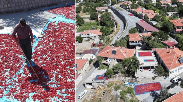 kayseride uretiliyor avrupada kapis kapis satiliyor sokak ortasinda 12 ton yapiliyor kilosu 750 lira QGeaZxlZ.webp