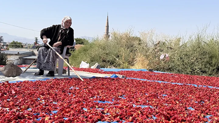 kayseride uretiliyor avrupada kapis kapis satiliyor sokak ortasinda 12 ton yapiliyor kilosu 750 lira WMHAWijm