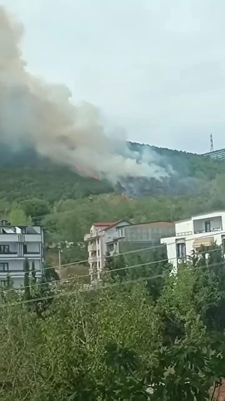 kocaelide orman yangini 0 llNwrulT