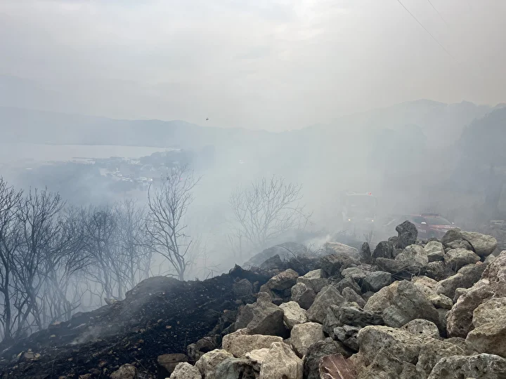 kocaelideki orman yangini denetim altinda 4 BXhYaDy6