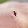 komsuda virus alarmi iki kisi oldu v3QO3MdJ.webp