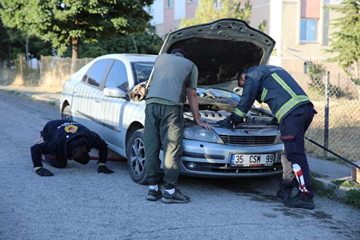 kopeklerden kacip arabanin kaputuna sigindi 0 4eT9GgJK