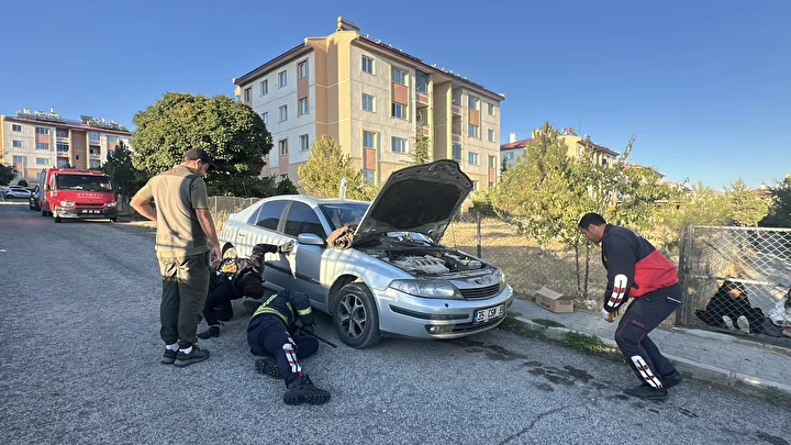 kopeklerden kacip arabanin kaputuna sigindi 4 nctihWk6