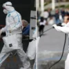Global piyasalar Fed’den faiz indirim beklentilerinin gücünü muhafazasıyla müspet seyrediyor kovid hadiseleri turkiyede artisa gecti grip diye gelen bircok hastanin kovid oldugu ortaya cikti zFsCxz84.webp