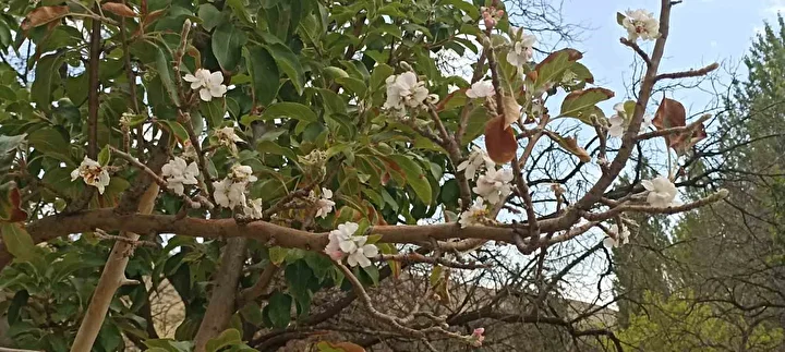 koyluler inanamadi hayatimda birinci defa karsilastim 0 XBN7DJA2
