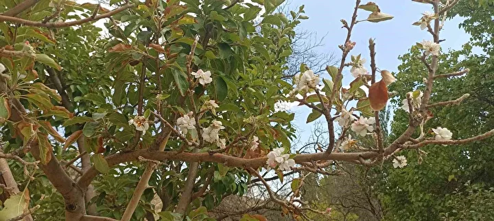 koyluler inanamadi hayatimda birinci defa karsilastim 2 vCBiEepZ