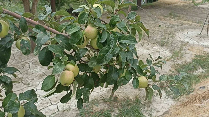 koyluler inanamadi hayatimda birinci defa karsilastim 3 3f9trFiL